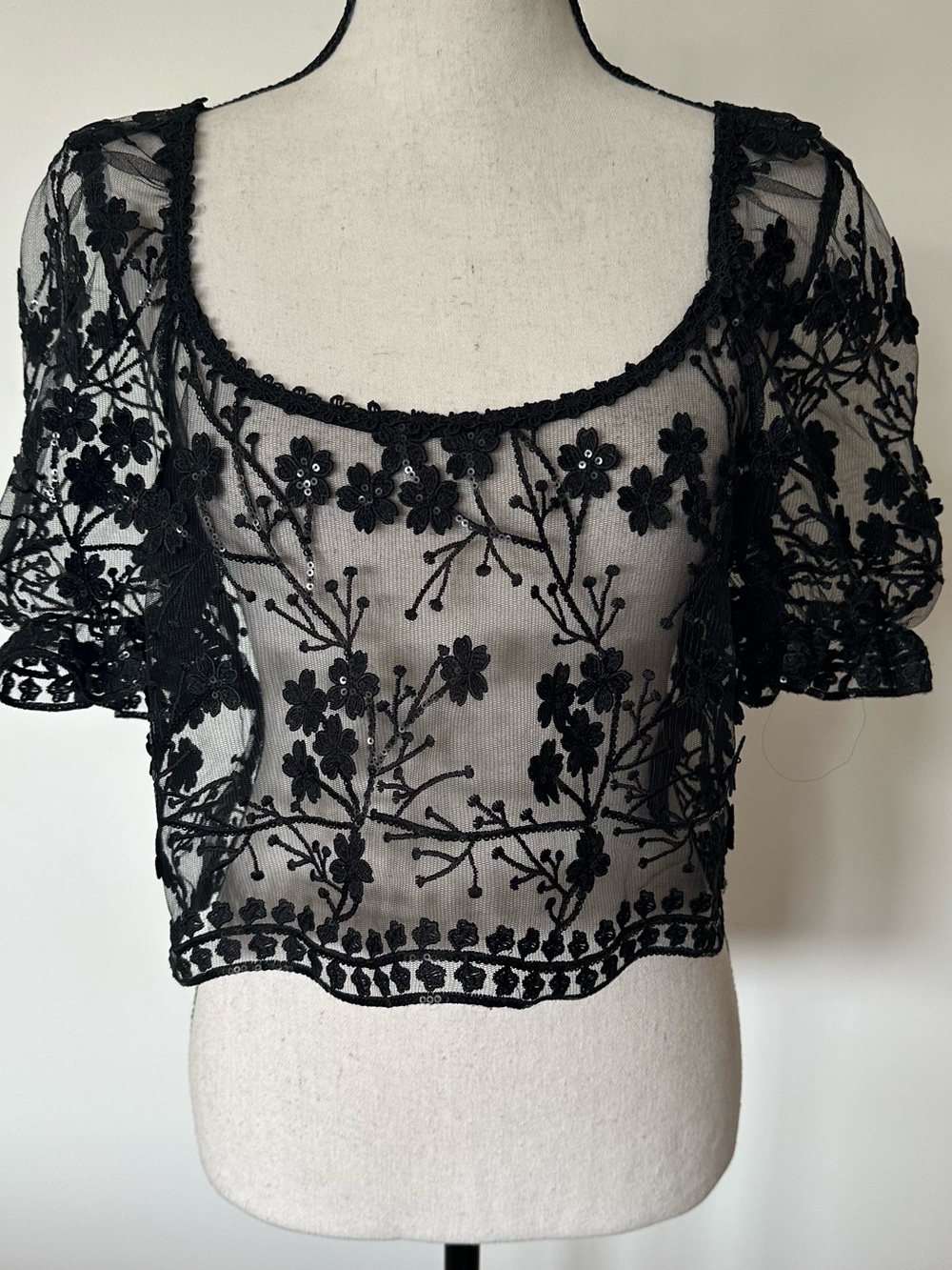 Black Sheer Mesh Crop Top Whimsigoth Goth Embroidered Floral Sequin Puff Sleeve
